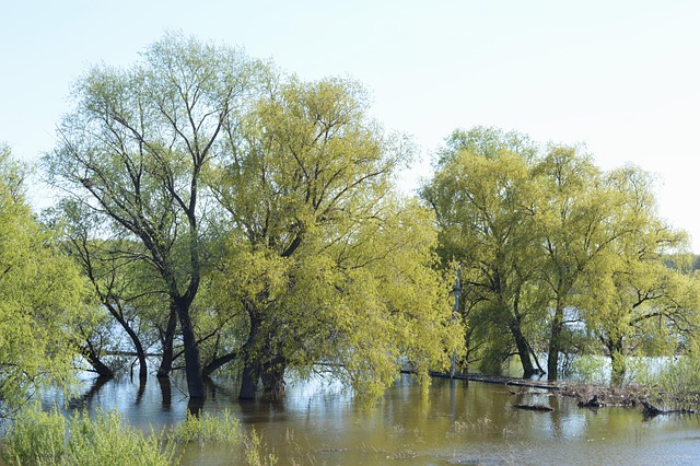 Free Spring Water photo and picture