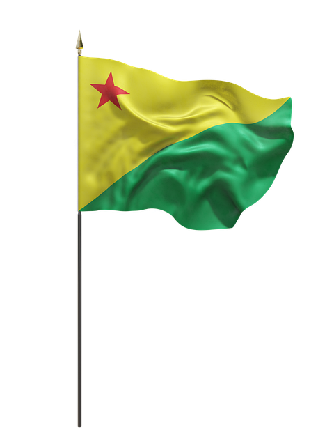Free acre brazil flag illustration