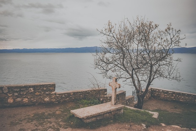 Free Tomb Tree photo and picture