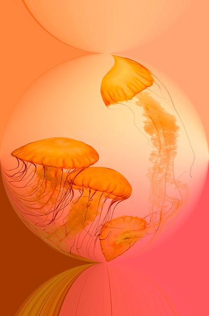 Vandmand, Vanddyr, Orange