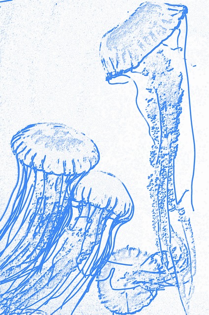 Vandmand, Vanddyr, Hvid