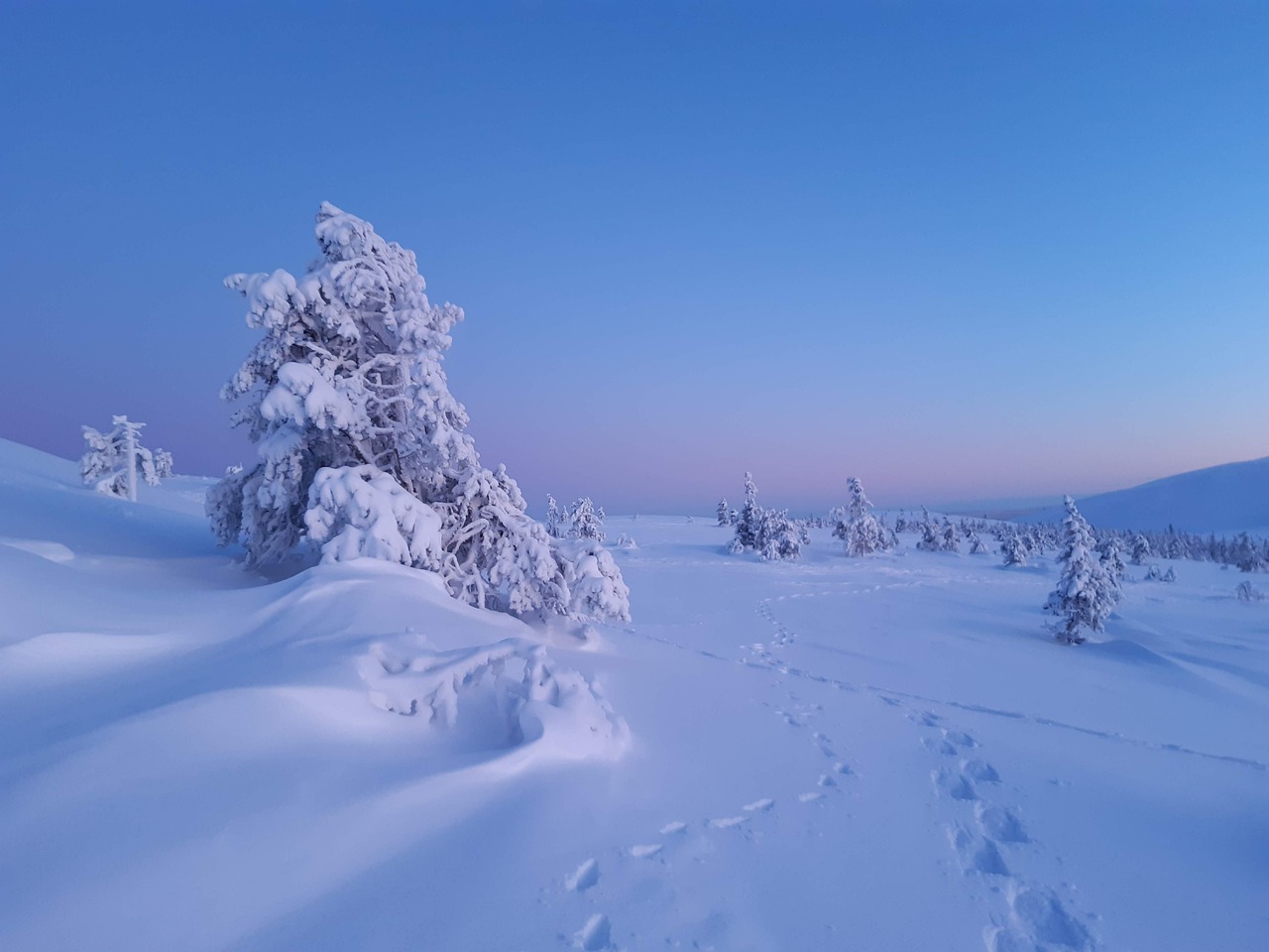 Lapland Lumi Maisema Ilmainen Valokuva Pixabayssa Pixabay lapland-lumi-maisema-ilmainen-valokuva-pixabayssa-pixabay