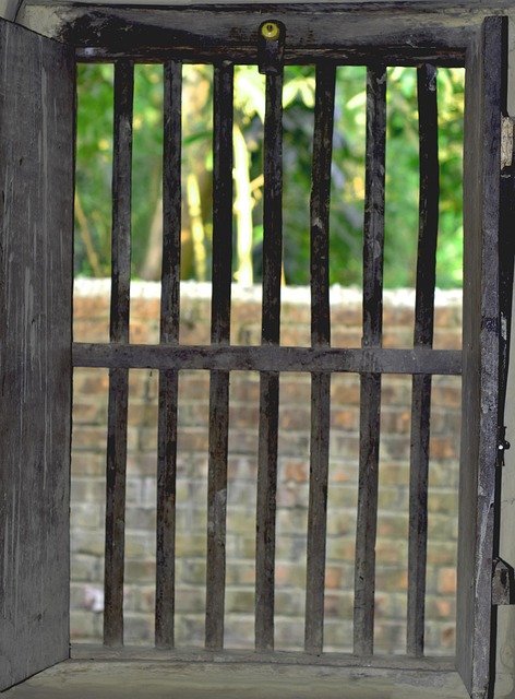 Free Window Green photo and picture