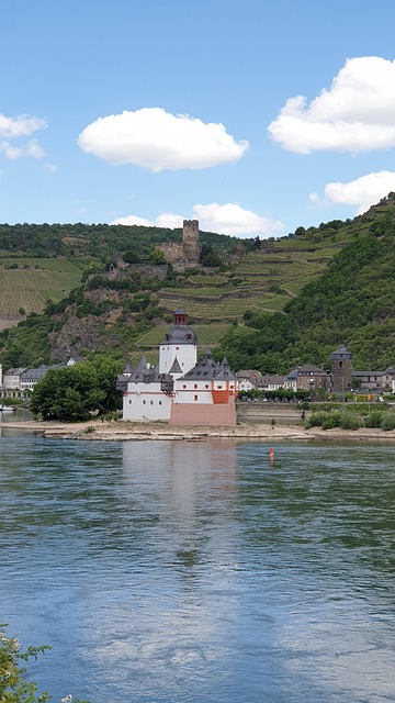 Free Castle Vineyards photo and picture