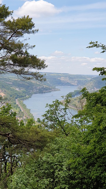 Free Rhine Rheinsteig photo and picture
