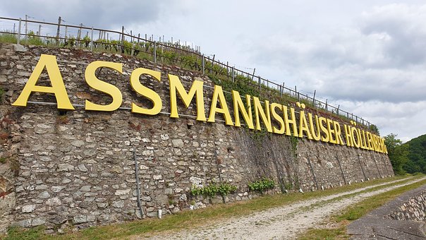Free Vineyards Wall photo and picture