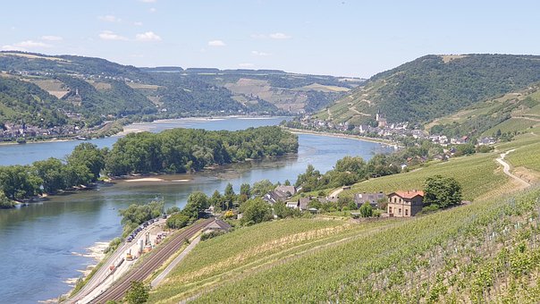 Free Vineyards Water photo and picture