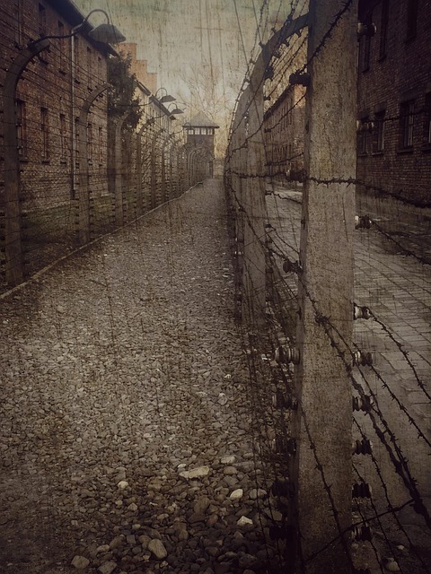 Campo De Concentração, Auschwitz