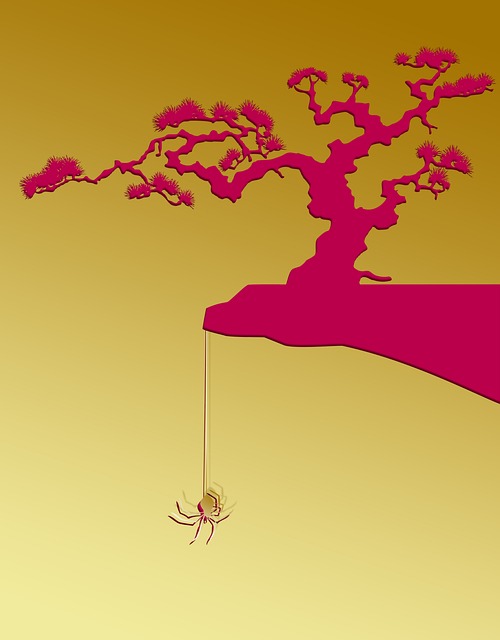 Spider, Sapling, Cliff, Suspendert