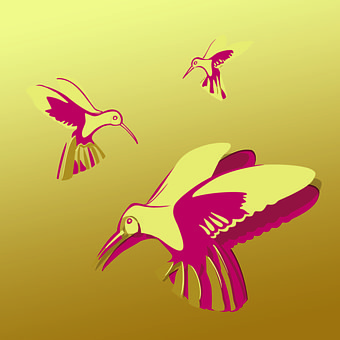 Gull, Rød Lakk, Kolibri, Fugler, Vår