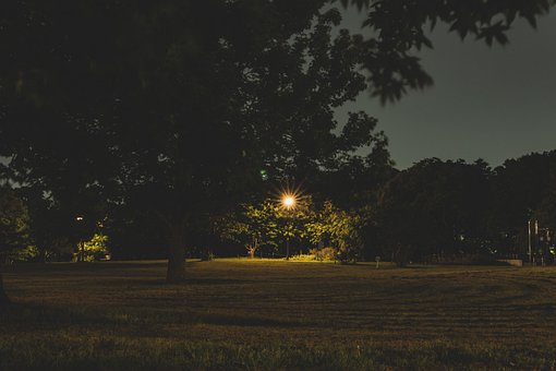 Free Night Park photo and picture