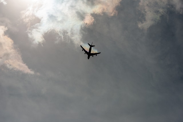 Free Plane Rainbow photo and picture