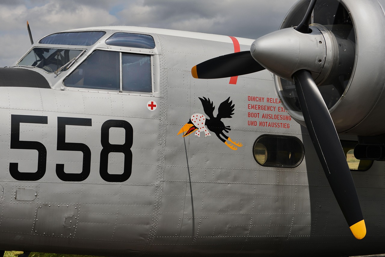 Plane - free online jigsaw puzzle photo