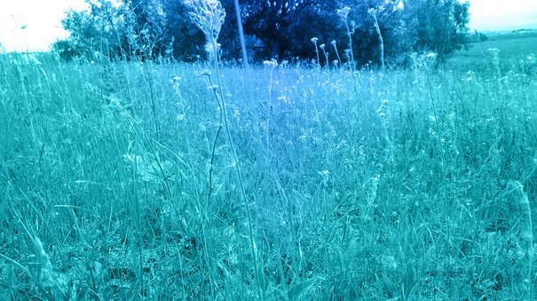 Free Portal Mystic photo and picture