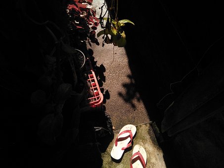 Free Shadow Shoes photo and picture