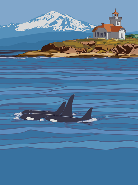 Free washington state travel poster illustration