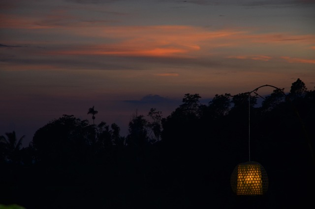 Free Sunset Garden photo and picture