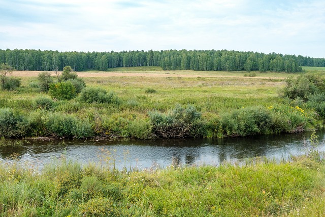 Free Landscape River photo and picture