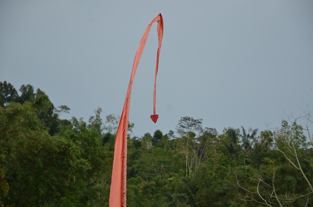 Free Flag Bali photo and picture