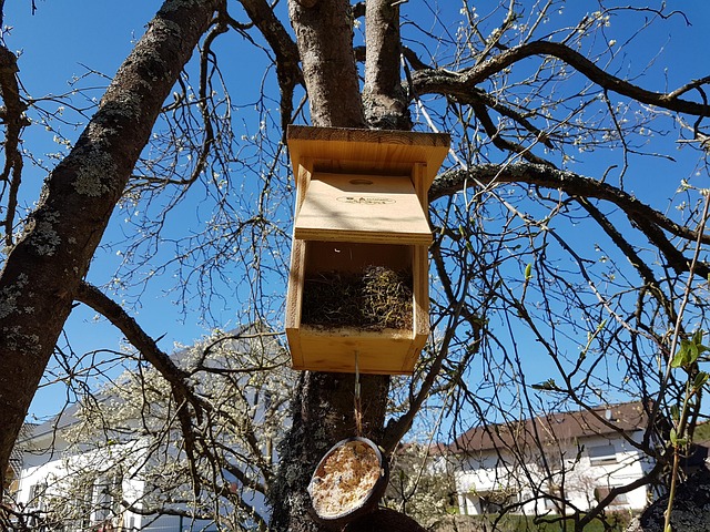 Free Bird Box photo and picture