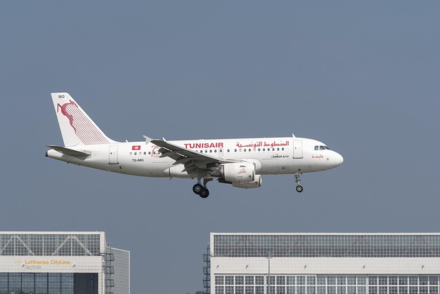 Free Tunisair Airbus photo and picture