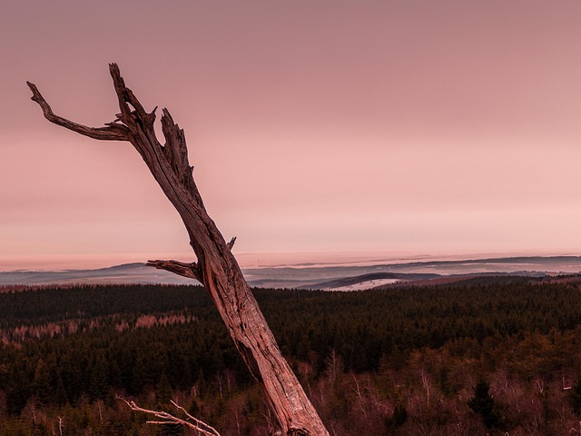 Free Red Light Dusk photo and picture