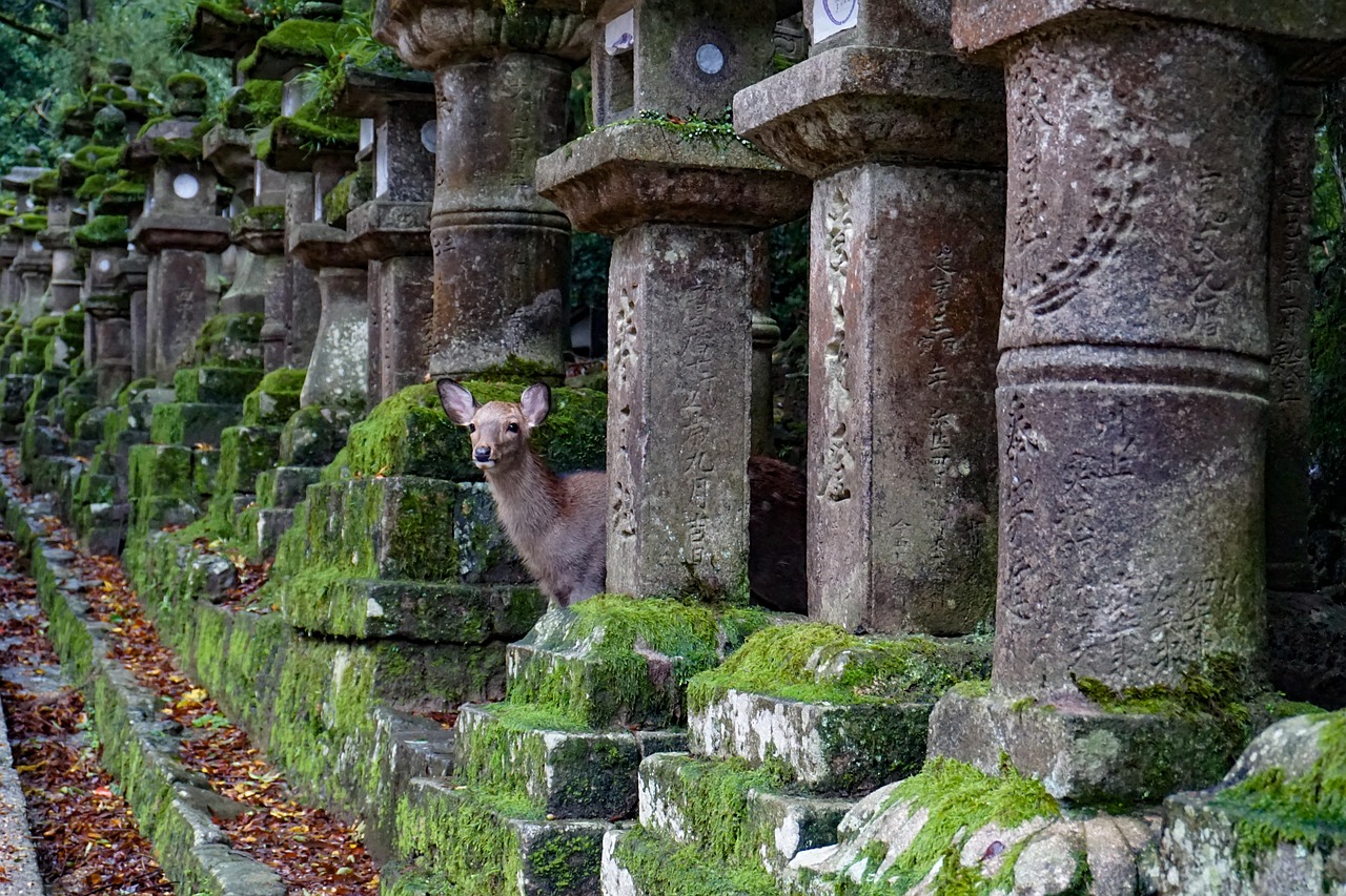 Japan - free online jigsaw puzzle photo