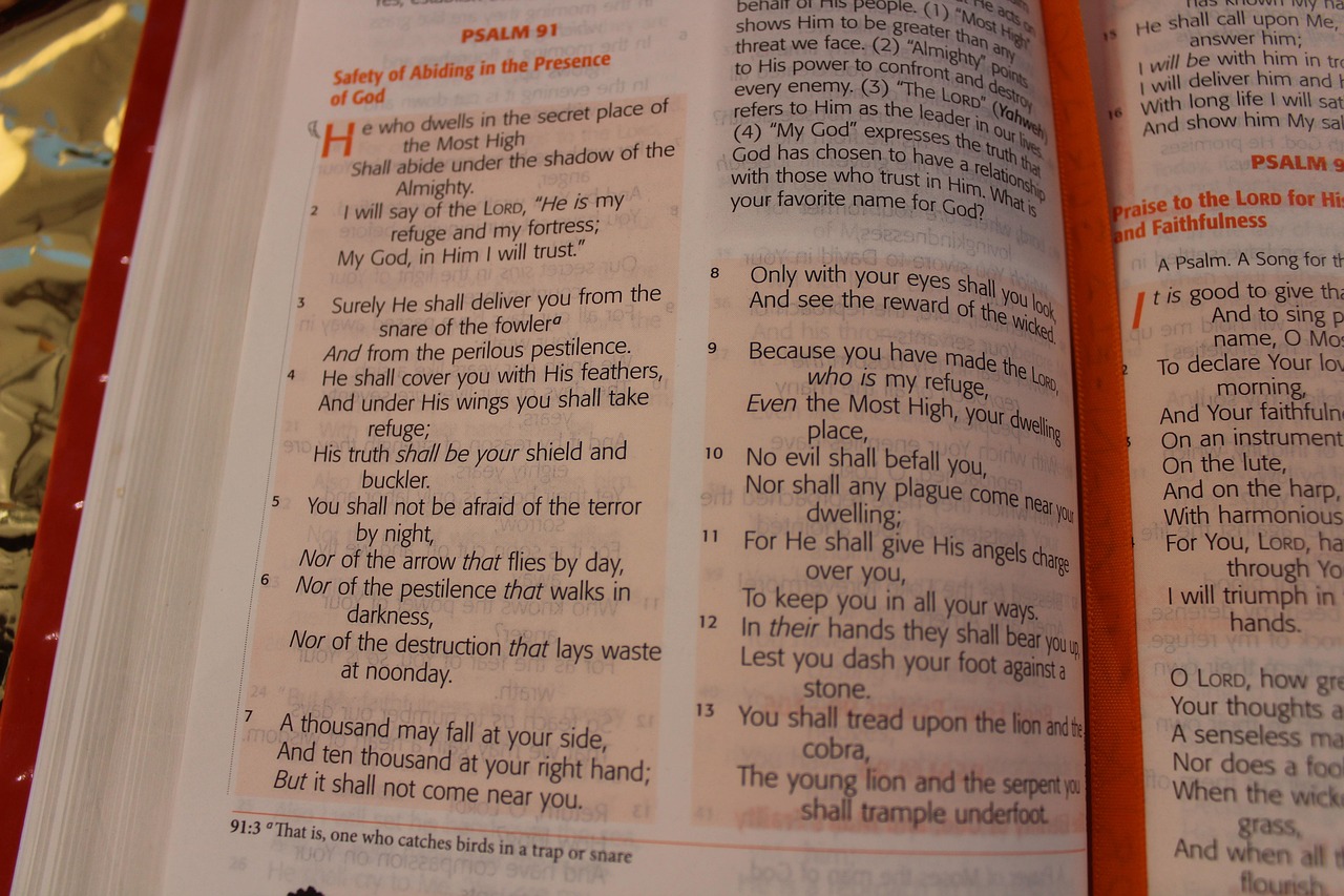 Holy Bible Scriptures - Free photo on Pixabay - Pixabay