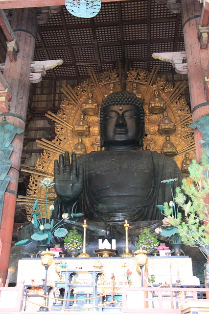 Free Kyoto Nara photo and picture