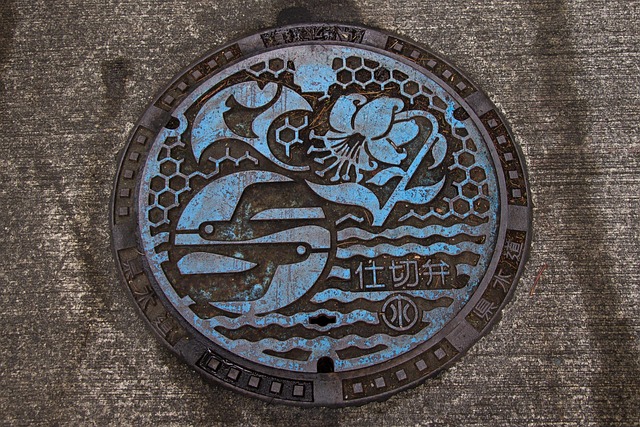 Free Hakone Japan photo and picture