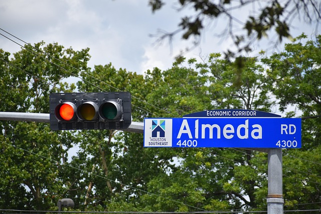 Free Stoplight Street Light photo and picture