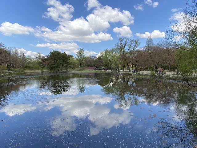 Free Cloud Lake photo and picture