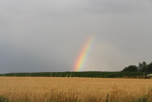 Free Rainbow Rain photo and picture