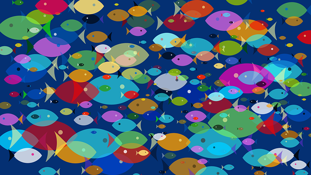 Free fish sea colors illustration