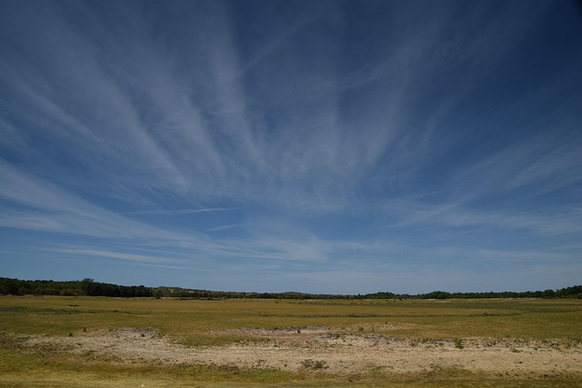 Free Zealand Dunes photo and picture