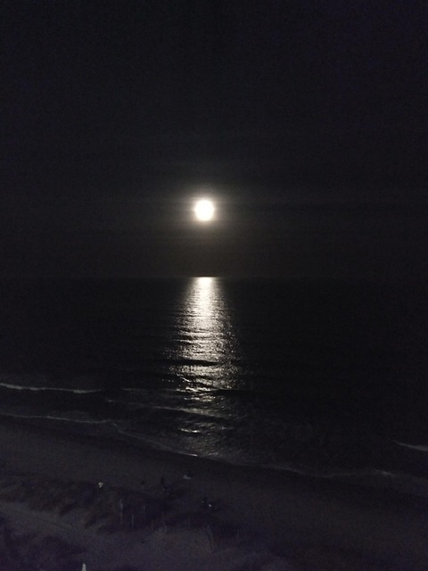 Lua Mar Noite - Foto gratuita no Pixabay - Pixabay
