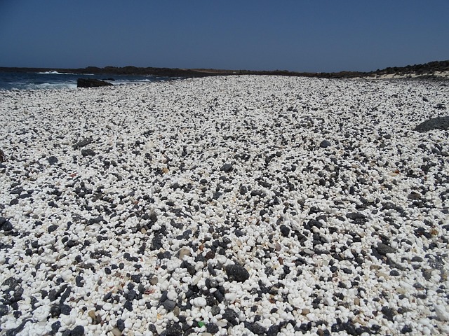 Free Beach Popcorn photo and picture
