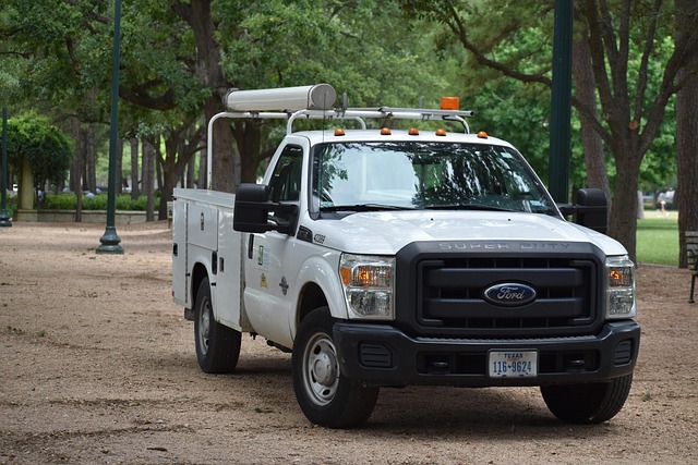 Free Ford Truck photo and picture