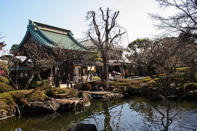 Kamakura, Templu, Templu Budist, Cultură