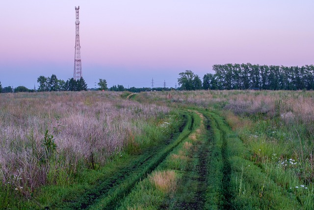 Free Tower Field photo and picture