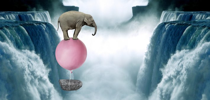 Olifant, Roze, Ballon, Kunst