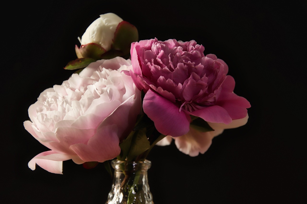 5 Charms Fleurs De Pivoine En Alliage – Pour Création De Bijoux, Broches, épingles à Cheveux DIY