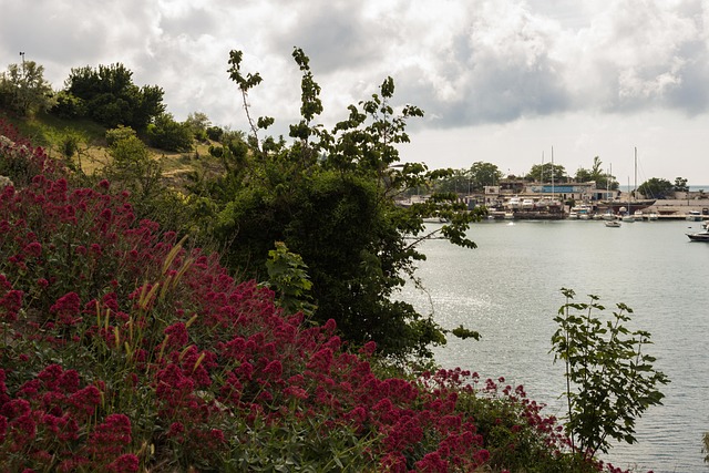 Free Sevastopol Yachts photo and picture