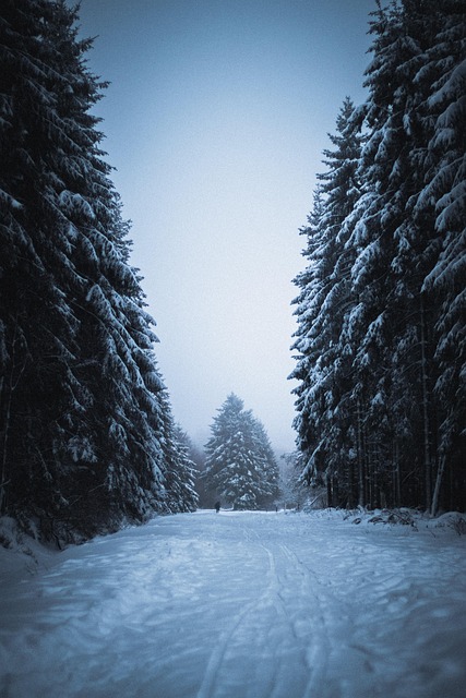 Free Snow Sky photo and picture
