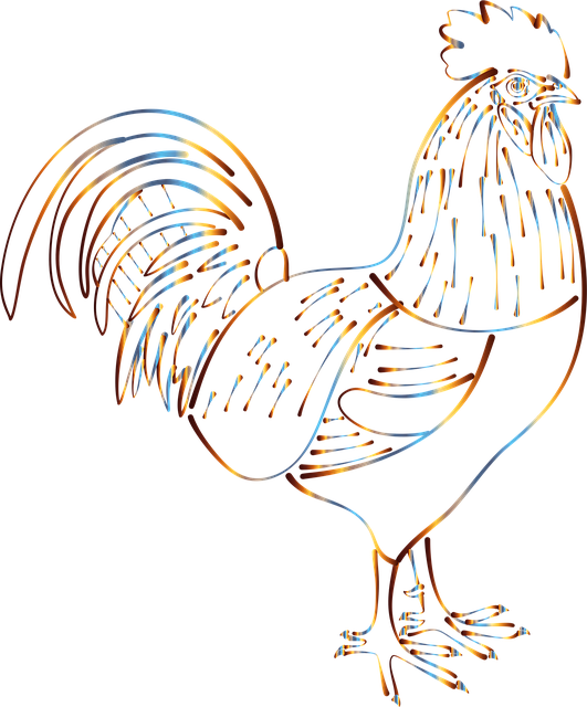 Download free HD stock image of Rooster Chicken Free rooster chicken line art vector