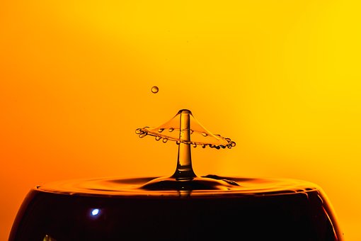 Free Drop Drops photo and picture
