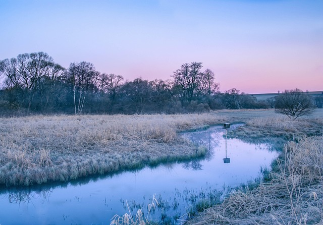 Free Dawn Frost photo and picture