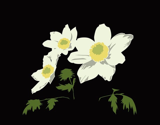 Free colored vector drawing black background illustration