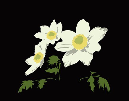Farget, Vektor Tegning, Svart Bakgrunn