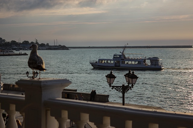 Free Boat Seagull photo and picture